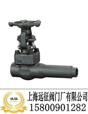 锻钢延长体闸阀
